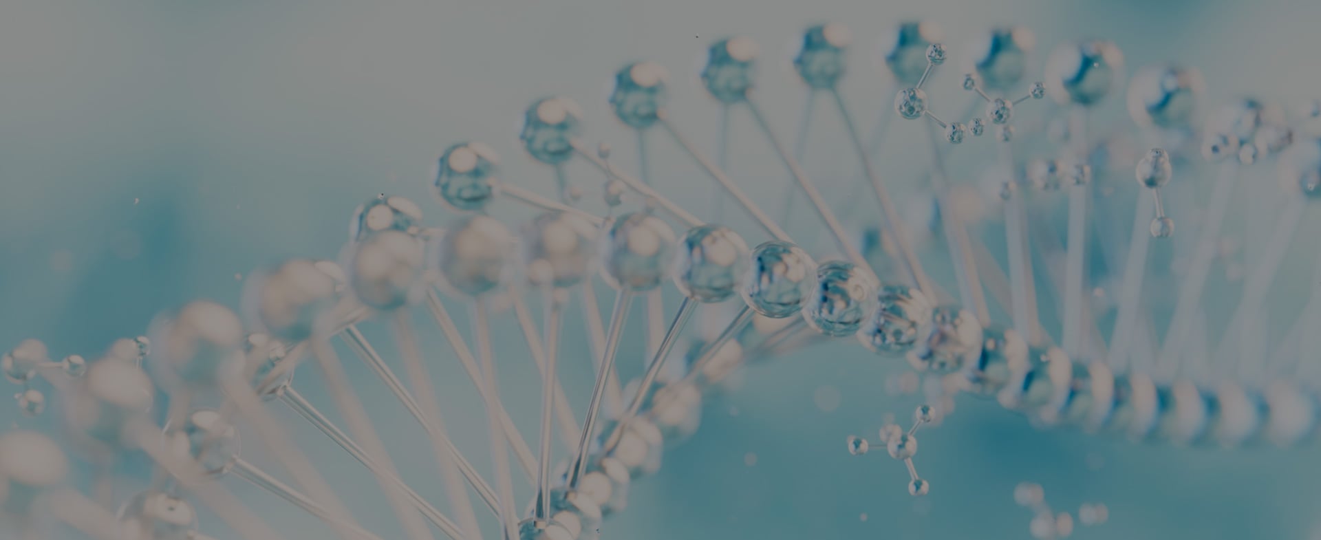 Proyecto para WorldPathol